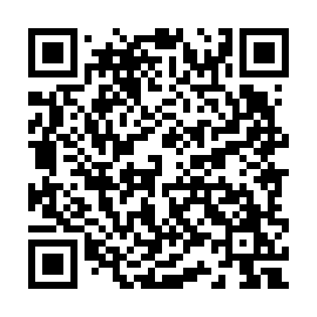 QR code for Z3868O