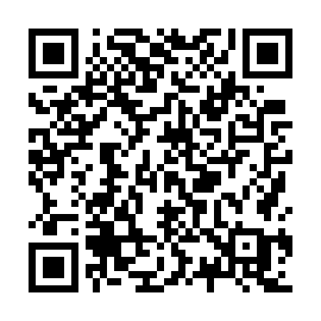 QR code for Z387WA