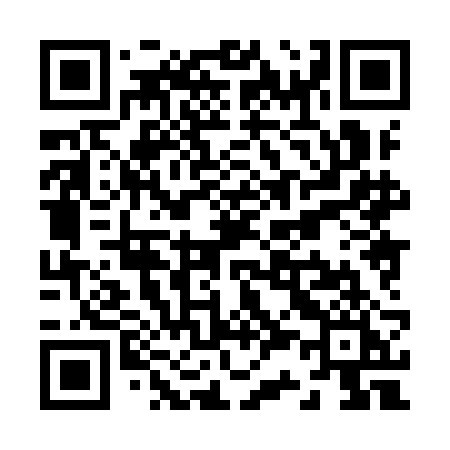 QR code for Z389BI