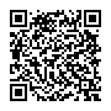 QR code for Z3909P