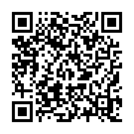 QR code for Z391PJ