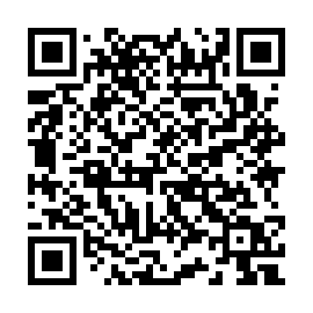 QR code for Z391ST
