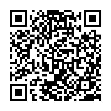 QR code for Z393WW