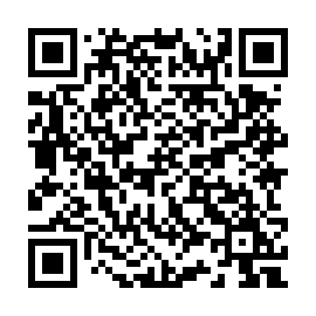 QR code for Z394ZM