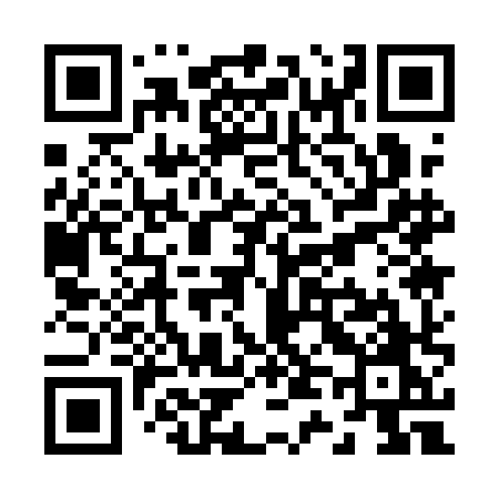 QR code for Z411HO