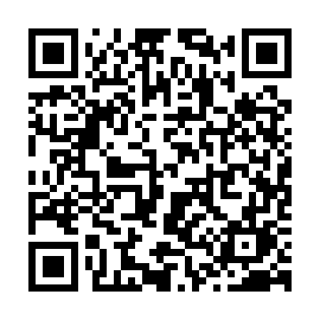 QR code for Z411WL