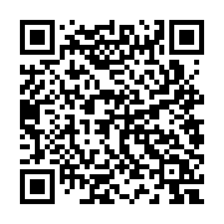 QR code for Z463PT