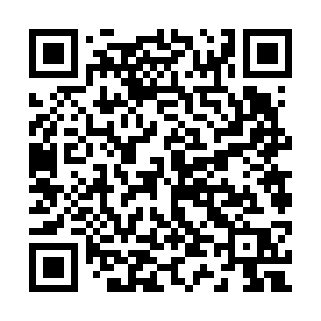 QR code for Z4663P