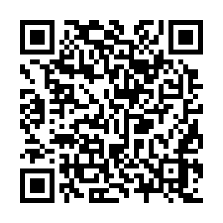 QR code for Z5335Z