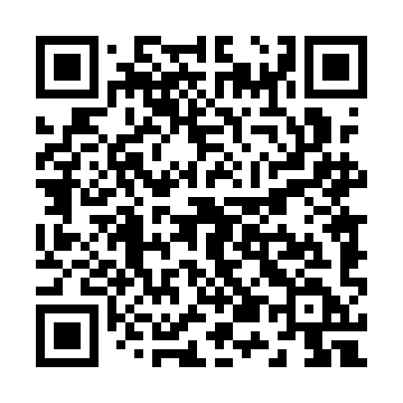 QR code for Z541ID