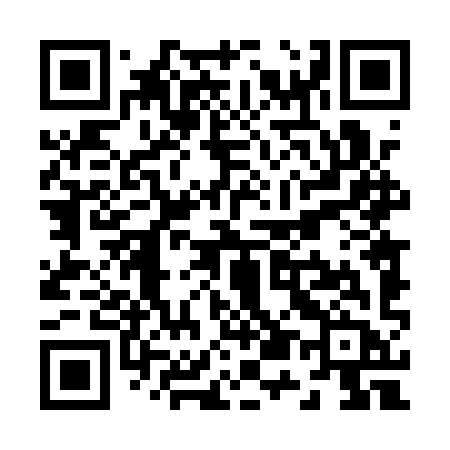 QR code for Z541YB