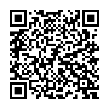 QR code for Z611DE