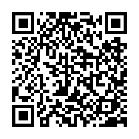 QR code for Z667JI
