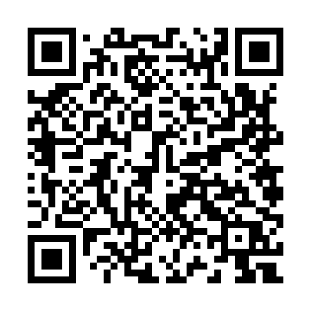 QR code for Z6690P