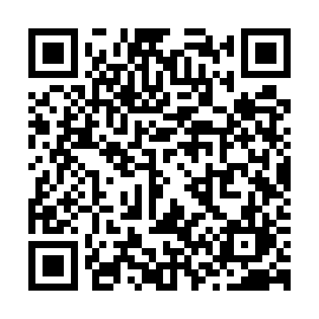 QR code for Z66URL