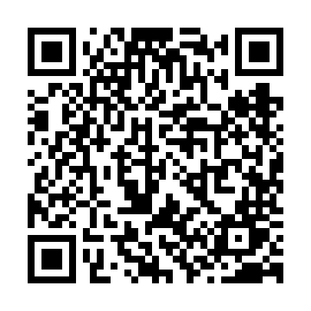QR code for Z696NT