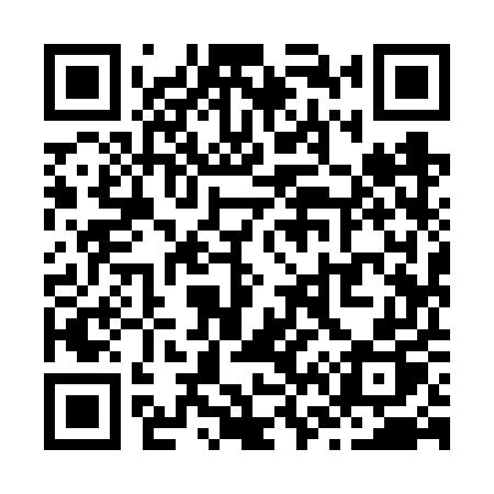 QR code for Z696UP