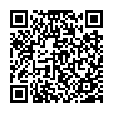 QR code for Z737QT