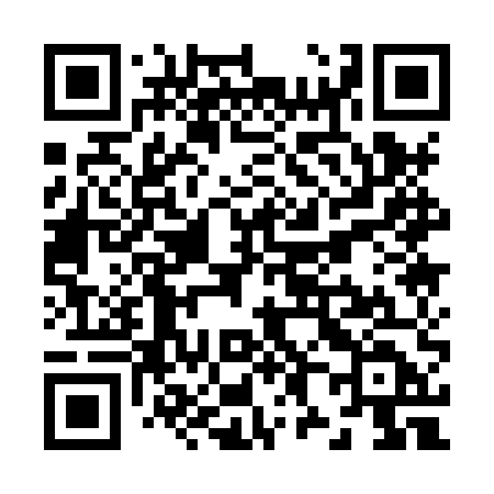 QR code for Z818UD