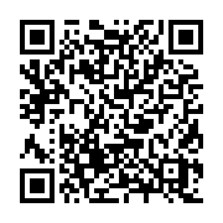 QR code for Z838DX
