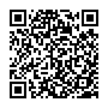 QR code for Z8668H