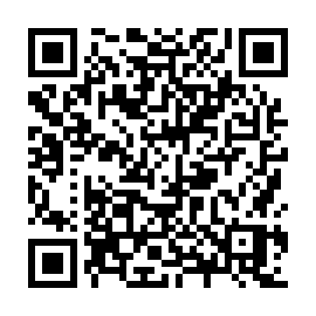 QR code for Z8817P