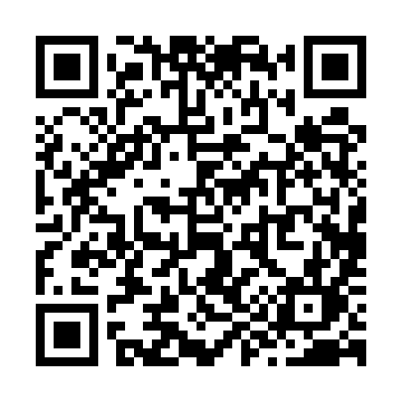 QR code for Z905YL