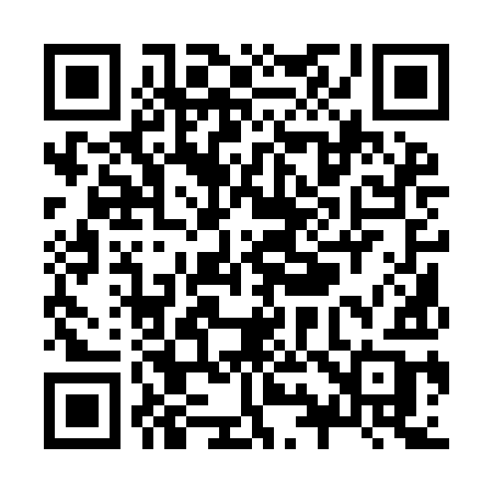 QR code for Z919IB