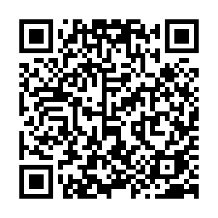 QR code for Z9381A