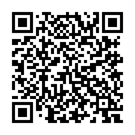 QR code for Z938HI
