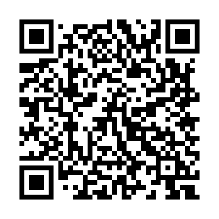 QR code for Z9595I