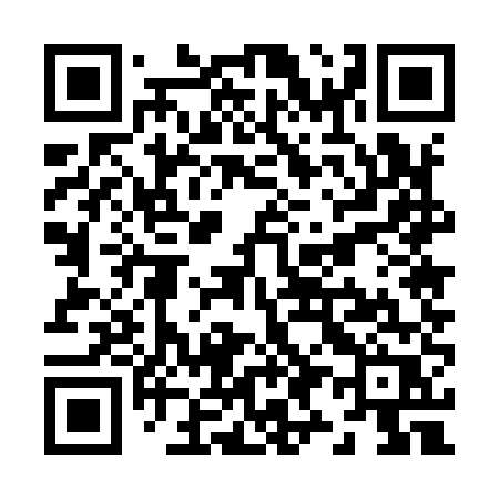 QR code for Z9595R