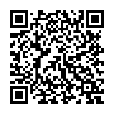 QR code for Z95HSV
