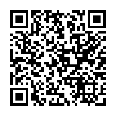 QR code for Z9638I