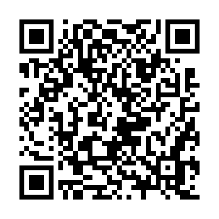 QR code for Z9667N