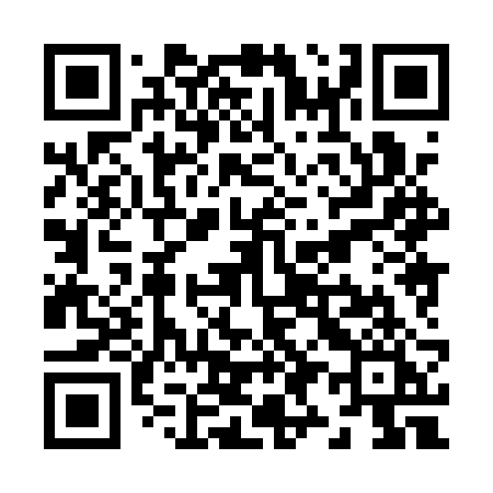 QR code for Z981RI