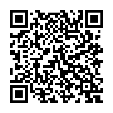 QR code for Z991JJ