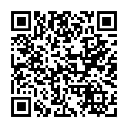 QR code for Z994YE