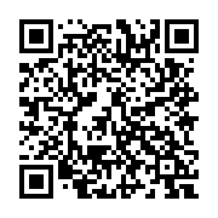 QR code for Z995ZG