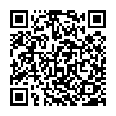 QR code for ZD250X