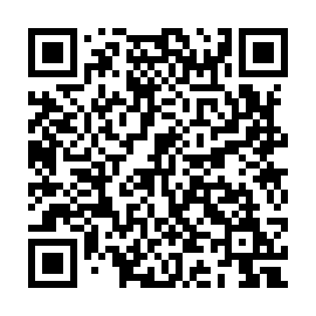 QR code for ZD393M