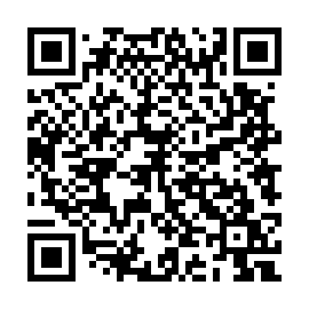 QR code for ZD453W