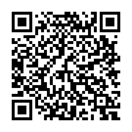 QR code for ZD513A