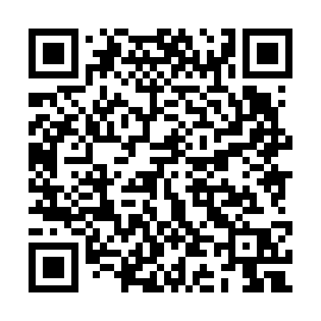 QR code for ZD863P