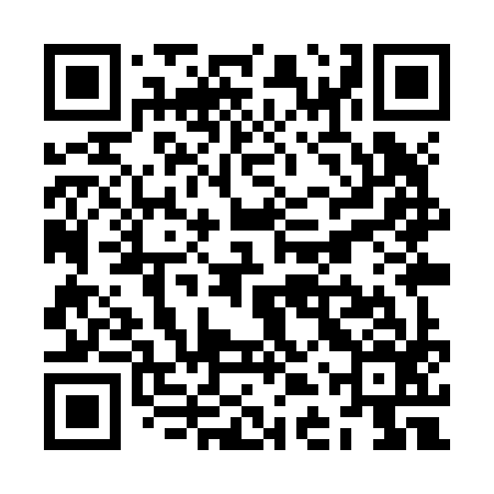 QR code for ZDYZ96