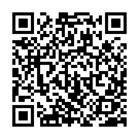 QR code for ZE295Z
