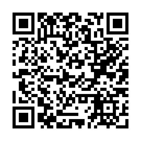 QR code for ZFV38G