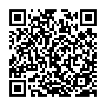 QR code for ZH265E