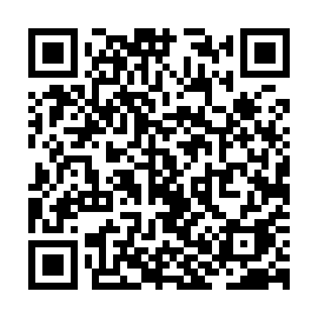 QR code for ZH491A
