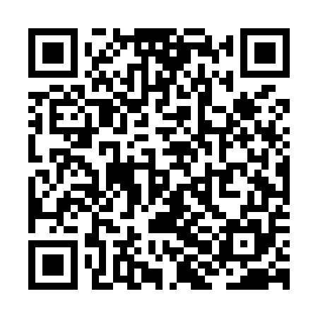 QR code for ZHDM55